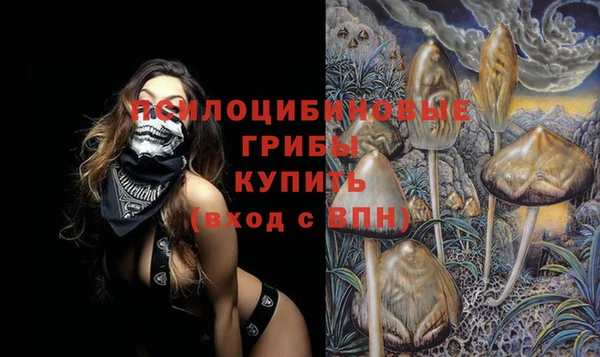 спиды Алексин