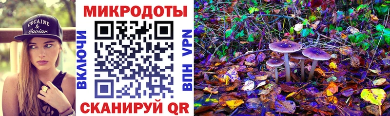 Галлюциногенные грибы Psilocybine cubensis Лагань