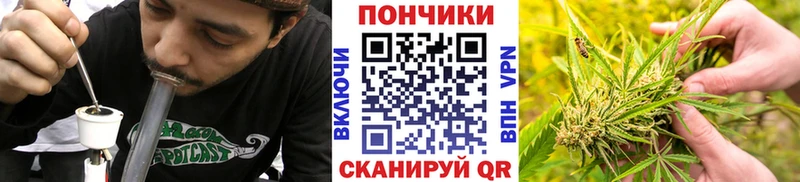 Бошки марихуана план  мега как зайти  Лагань 